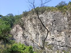 -梧桐山风景名胜区