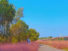 -上海杨姆庄园