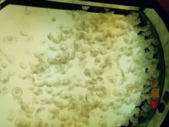 -沈阳海洋探索中心