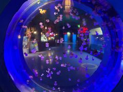 -太平洋海底世界