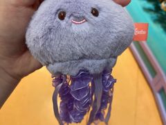 -海合安武汉极地海洋公园