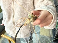 -光头佬室内钓虾场·烧烤·团建·亲子(中山八路店)