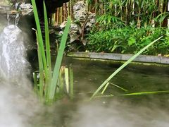 -潮隐·东园现代潮菜