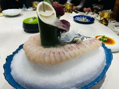 -鲐赏河豚(长寿店)