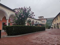 -星巴克(天津佛罗伦萨小镇店)