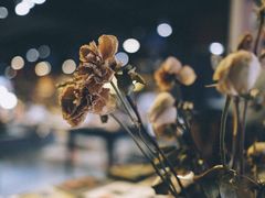 -富士相机·拍立得instax(三里屯soho商场店)