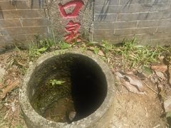 -广州市帽峰山景区