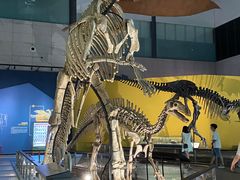 -湖南省地质博物馆