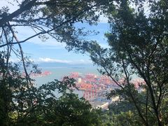 -小南山公园