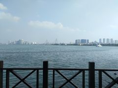 -万绿园