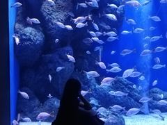 -成都浩海立方海洋公园