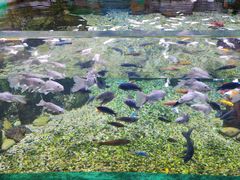-常州海昌海洋探索馆