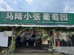 -马陆小张葡萄园农家乐