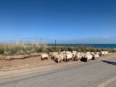 -青海湖国家重点风景名胜区