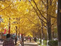 -辽东学院(南校区)