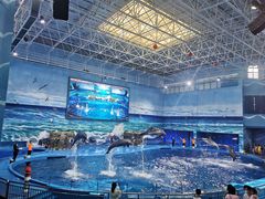 -多彩贵州城极地海洋世界