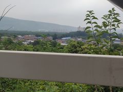 -徐记海鲜(大雁塔|金都店)
