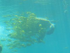 -海棠湾洲际-涛·海底餐厅·美人鱼·自助餐·海底隧道