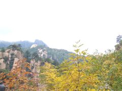 -云岫谷自然风景区