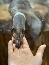 -Zoolung Zoolung动物主题公园(海信广场店)