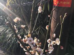 -西安曲江寒窑遗址公园