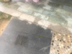 -咸宁万豪温泉谷度假区