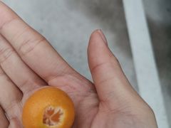 -肯德基(新凌云店)