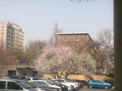 -奥利加尔大酒店-中餐厅
