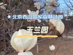 -北京西山国家森林公园