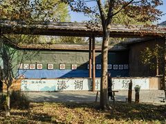 -溱湖国家湿地公园