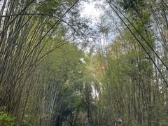 -海南热带野生动植物园