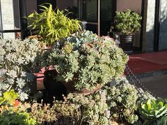 -山菌美食苑(振兴路店)