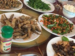 -途肴·老农饭庄(百里峡店)