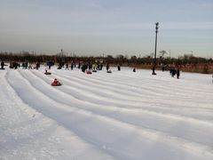 -绿野森林乐园冰雪季