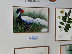 -广东科学中心