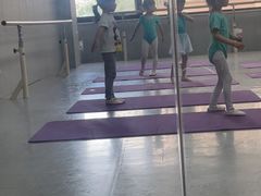 -舞蕾舞蹈(特长生校区)