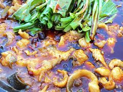 江团-都江堰石锅鱼