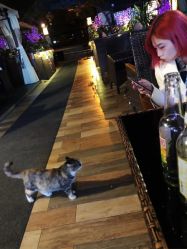 -八佰伴8008星级形象店