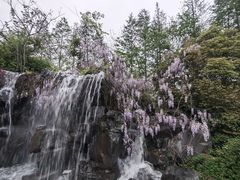 -上海怡沁园度假酒店