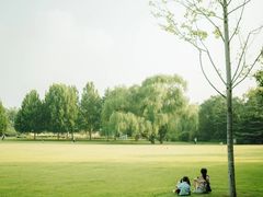 -海淀公园