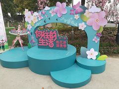 -田园东方蜜桃村的田野营地