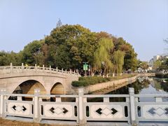 -葛仙湖公园
