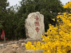 -泰山风景名胜区-普照寺