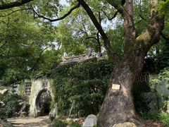 -惠山古镇·寄畅园