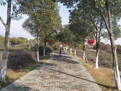 -南京市江宁方山