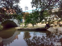 -小洲村