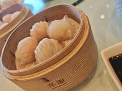 -翠园(北京王府中环店)