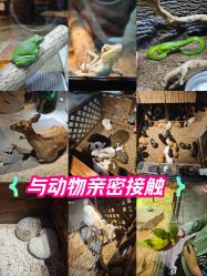 -酷嗒动物文化乐园(cutezoo西溪乐天城店)