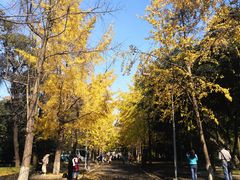 -四川大学(望江校区)