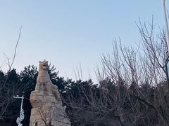 -帽儿山国家森林公园